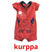 kurppa picture flashcards