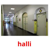 halli picture flashcards
