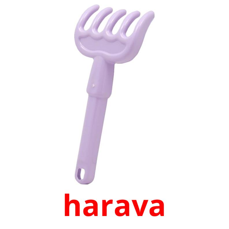 harava picture flashcards