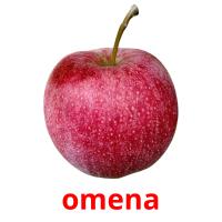 omena picture flashcards