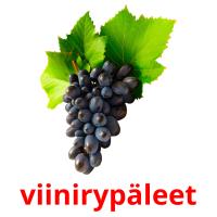 viinirypäleet card for translate