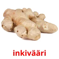 inkivääri Tarjetas didacticas