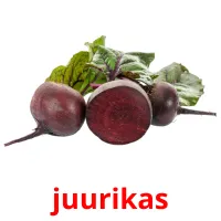 juurikas Tarjetas didacticas