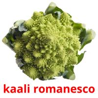 kaali romanesco picture flashcards