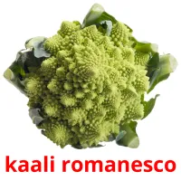 kaali romanesco Tarjetas didacticas