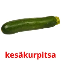 kesäkurpitsa Tarjetas didacticas