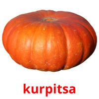 kurpitsa card for translate
