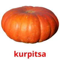 kurpitsa Tarjetas didacticas