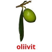 oliivit Tarjetas didacticas