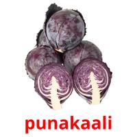 punakaali picture flashcards