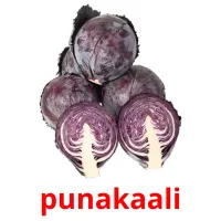 punakaali Tarjetas didacticas