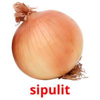 sipulit card for translate
