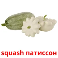 squash патиссон Tarjetas didacticas