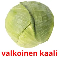 valkoinen kaali Tarjetas didacticas