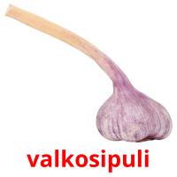 valkosipuli picture flashcards