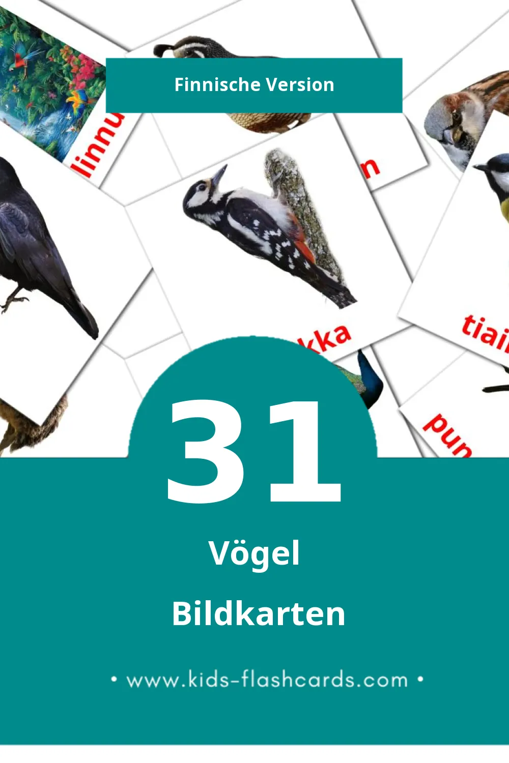 Visual Linnut Flashcards für Kleinkinder (31 Karten in Finnisch)