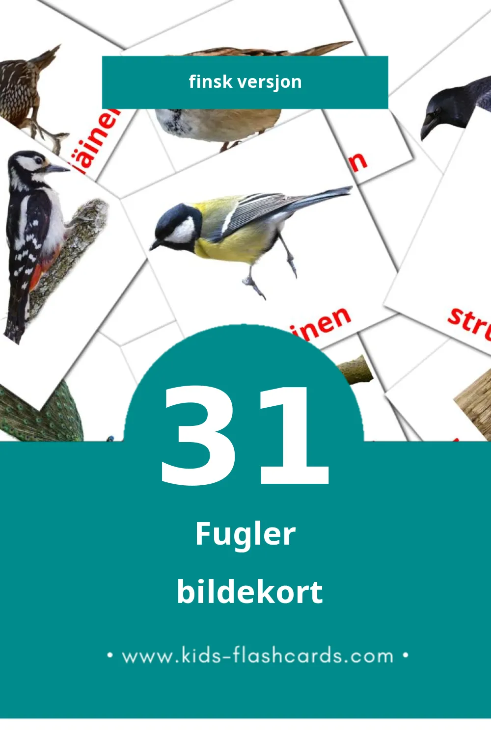 Visuelle Linnut bildekort for småbarn (31 kort på Finsk)