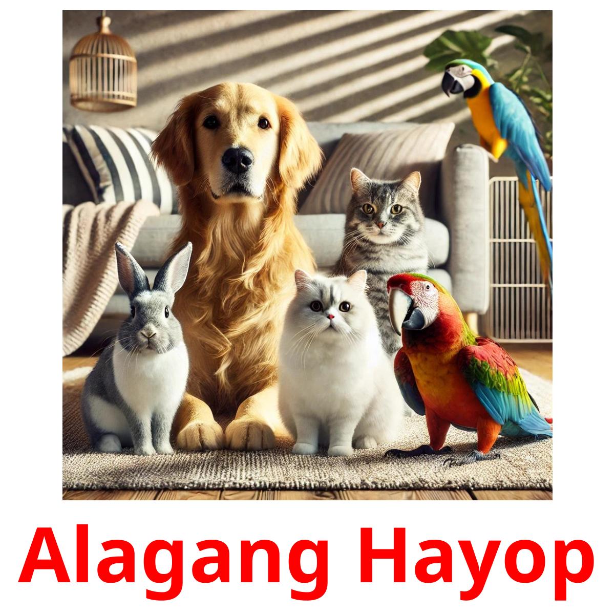 Alagang Hayop picture flashcards