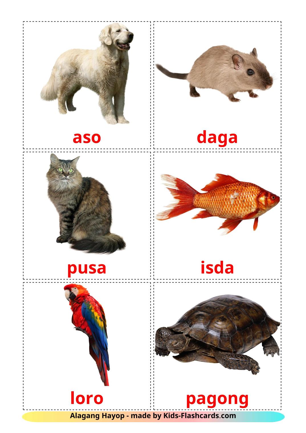 Domestic animals - 10 Free Printable filipino Flashcards 