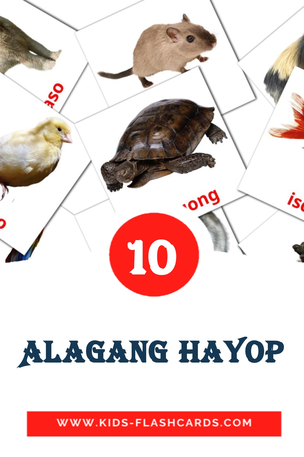 10 Alagang Hayop Picture Cards for Kindergarden in filipino