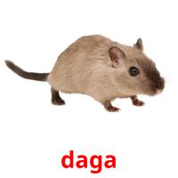 daga card for translate
