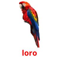 loro picture flashcards