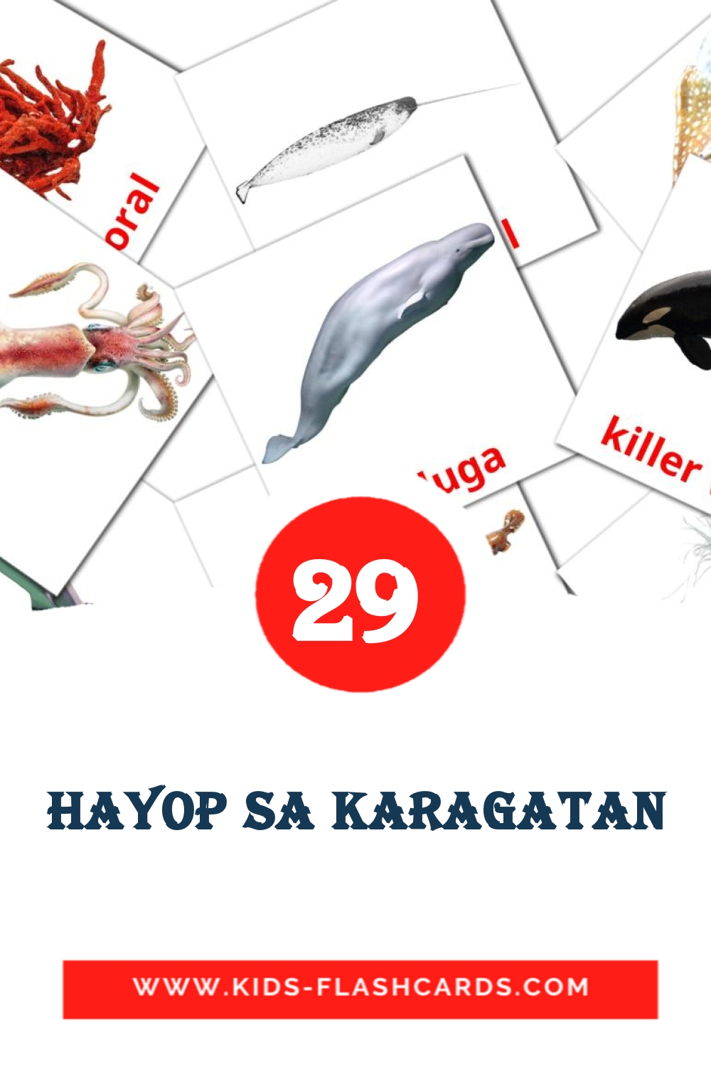 29 Hayop sa Karagatan Picture Cards for Kindergarden in filipino
