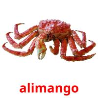 alimango picture flashcards