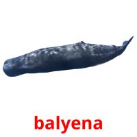 balyena card for translate