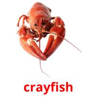 crayfish picture flashcards