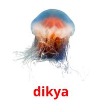 dikya card for translate