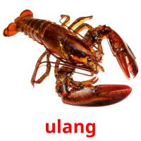 ulang picture flashcards