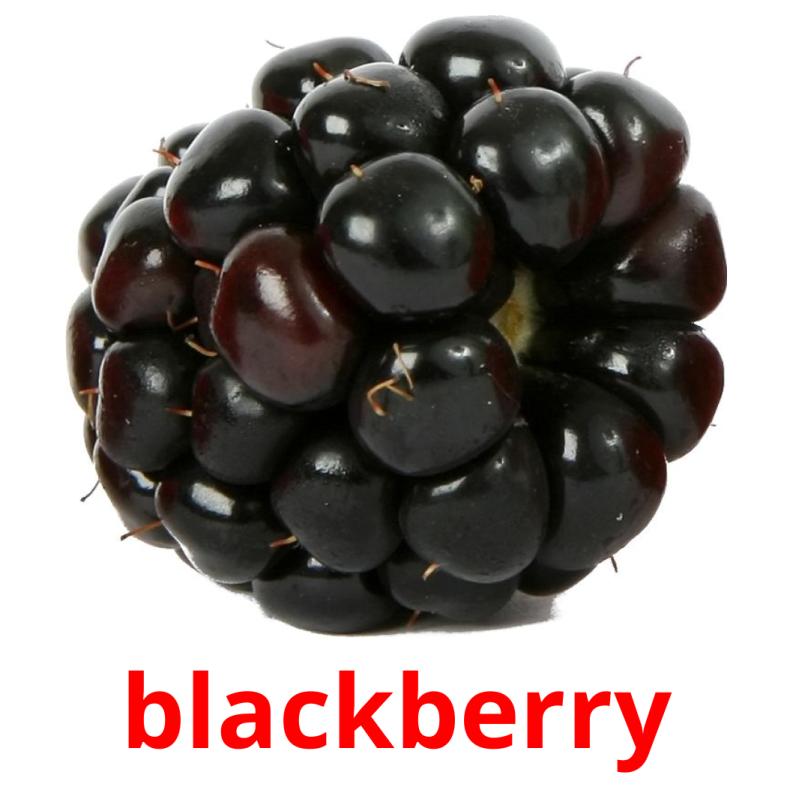 blackberry Tarjetas didacticas