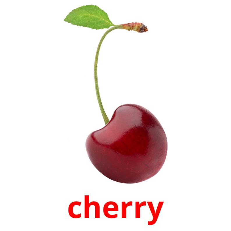 cherry picture flashcards
