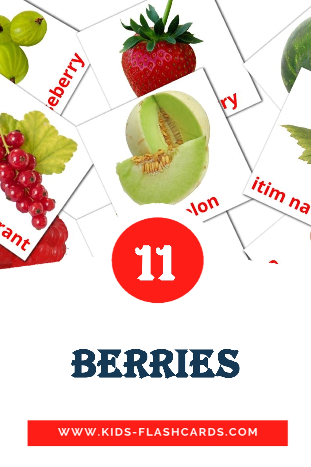 11 Berries Picture Cards for Kindergarden in filipino
