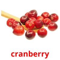 cranberry card for translate