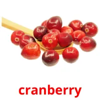 cranberry Tarjetas didacticas