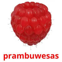 prambuwesas Tarjetas didacticas