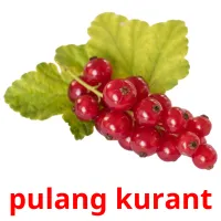 pulang kurant Tarjetas didacticas