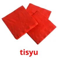 tisyu picture flashcards