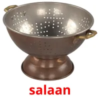 salaan Bildkarteikarten