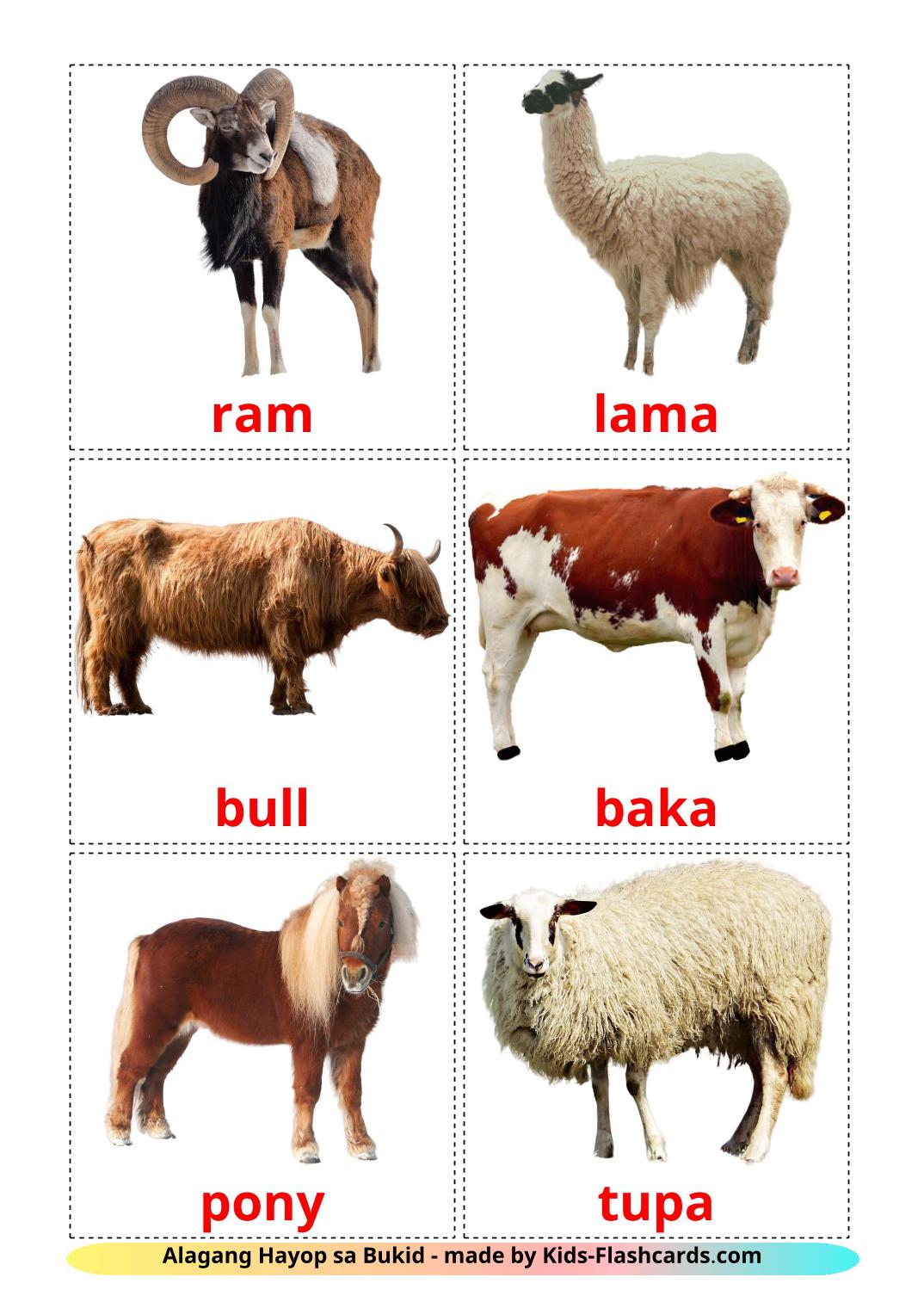 Farm animals - 15 Free Printable filipino Flashcards 