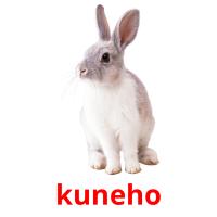 kuneho card for translate