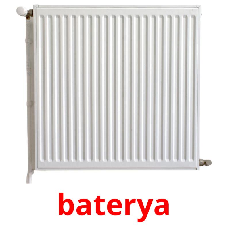 baterya picture flashcards