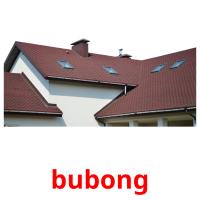 bubong picture flashcards