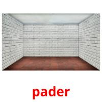 pader picture flashcards