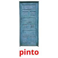 pinto picture flashcards