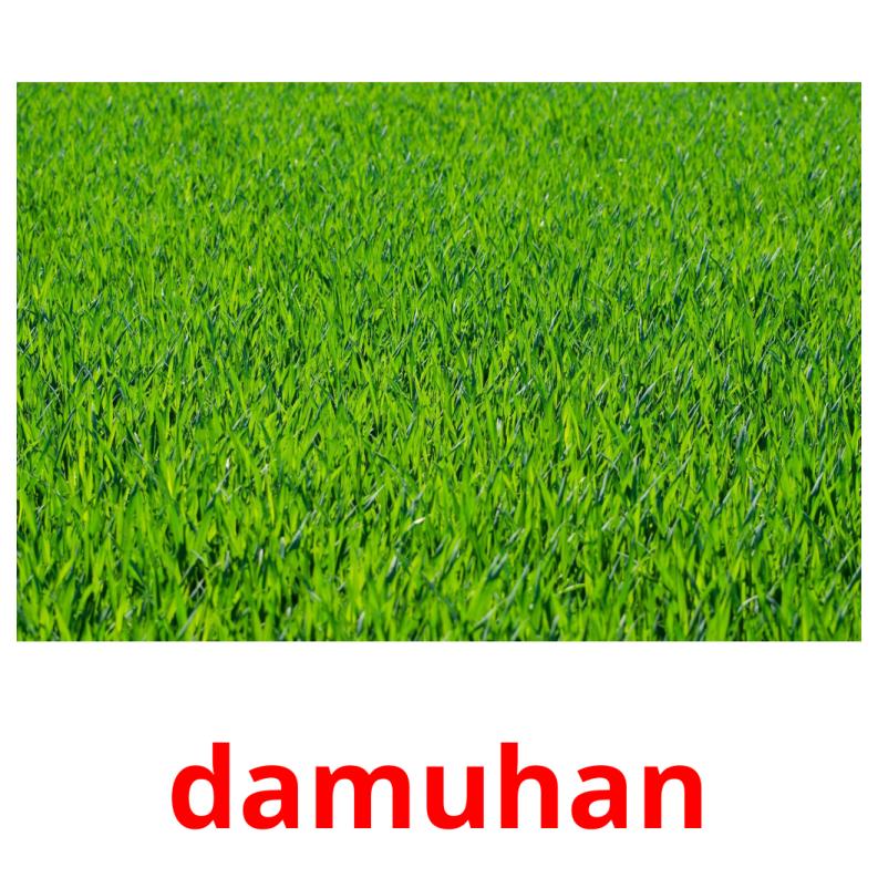 damuhan picture flashcards