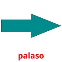 palaso picture flashcards