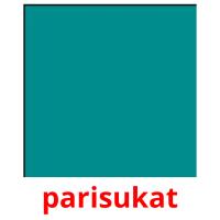 parisukat flashcards illustrate